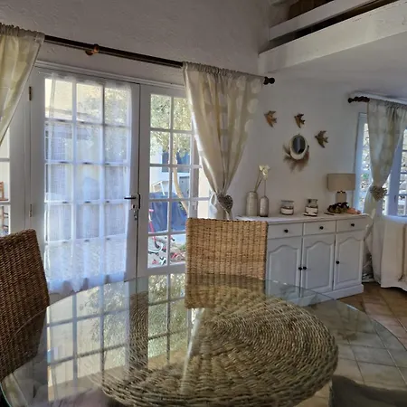 Elegant Close To The Sea